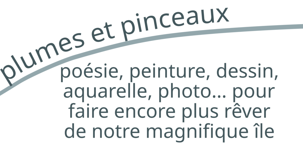 collection plumes et pinceaux